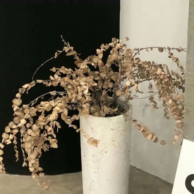 Furry数字绘画教程FurryQQ群